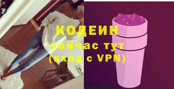 прущие грибы Сясьстрой