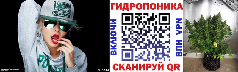 Конопля сатива  ОМГ ОМГ онион  Петровск-Забайкальский 